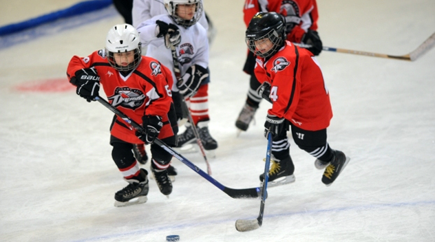 Арена «Дружба» прийме Фестиваль хокею для дітей